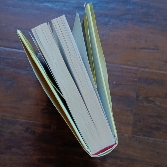 Great Pretender: Undercover Mission That Changed Our Understanding of Madness - Picture 7 of 7